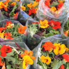 Salad and nasturtium flowers